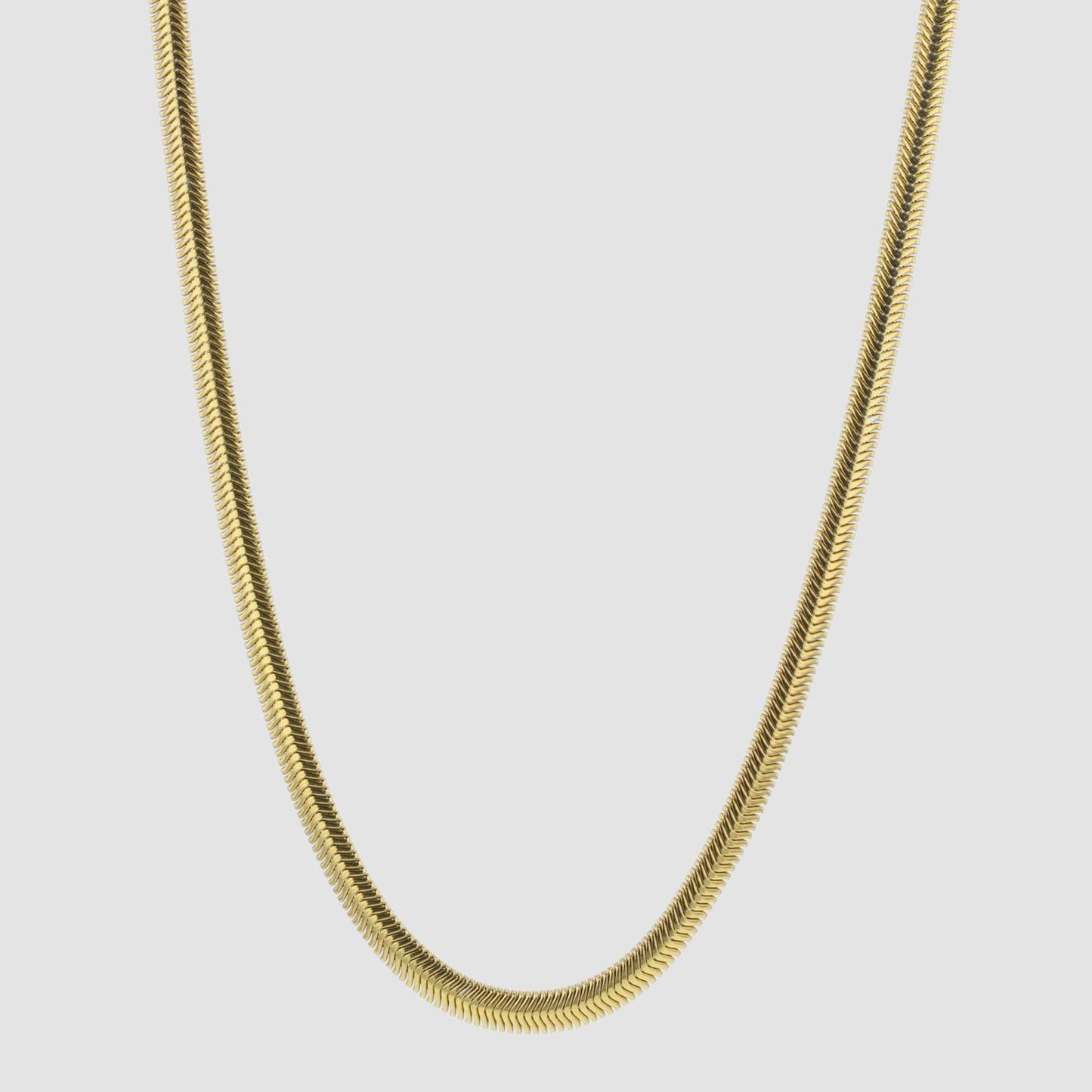 Hasla Snake Chain - Gold Plated